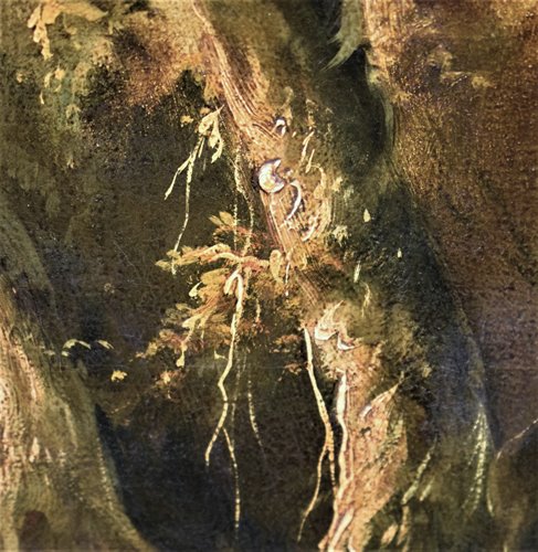 Paysage Fantastique